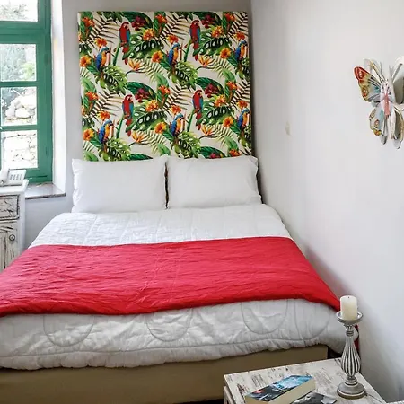 Kapodistrias Guest house 3*